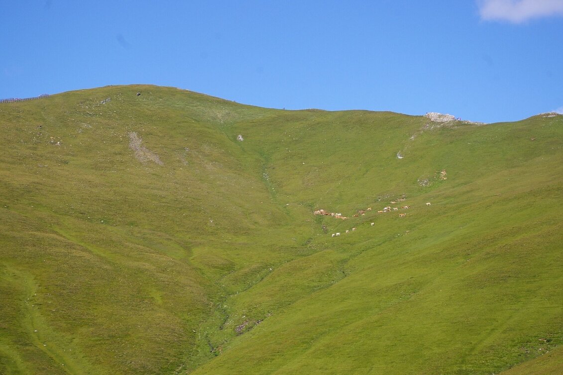 Mountain Hike Tanzstattkapelle-Hoher Zinken - Touren-Impression #1 | © Tourismusverband Murau