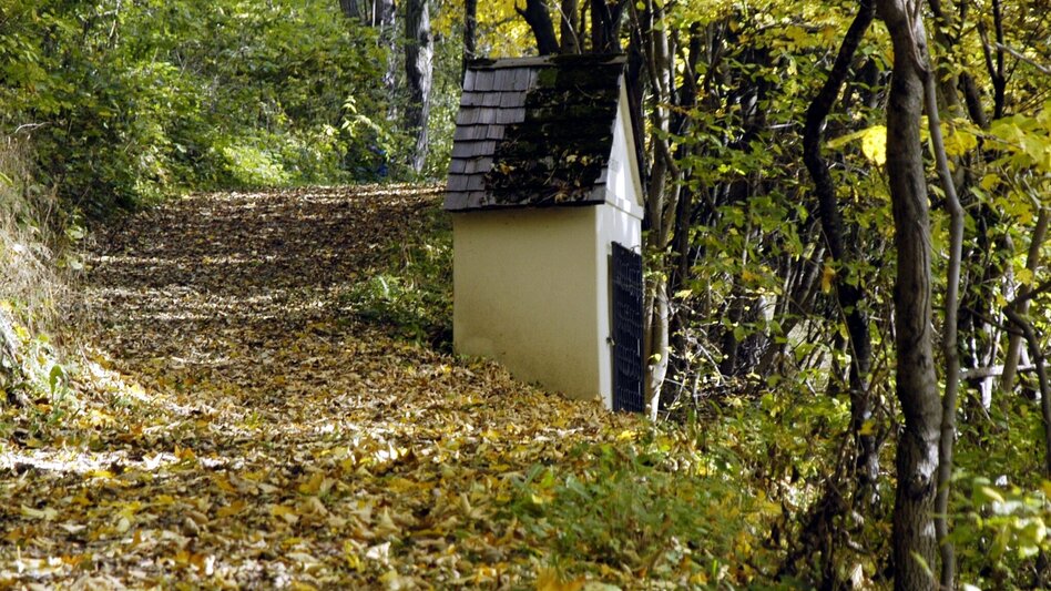 Hiking route Karleitenweg - Touren-Impression #2.1 | © Erlebnisregion Murtal