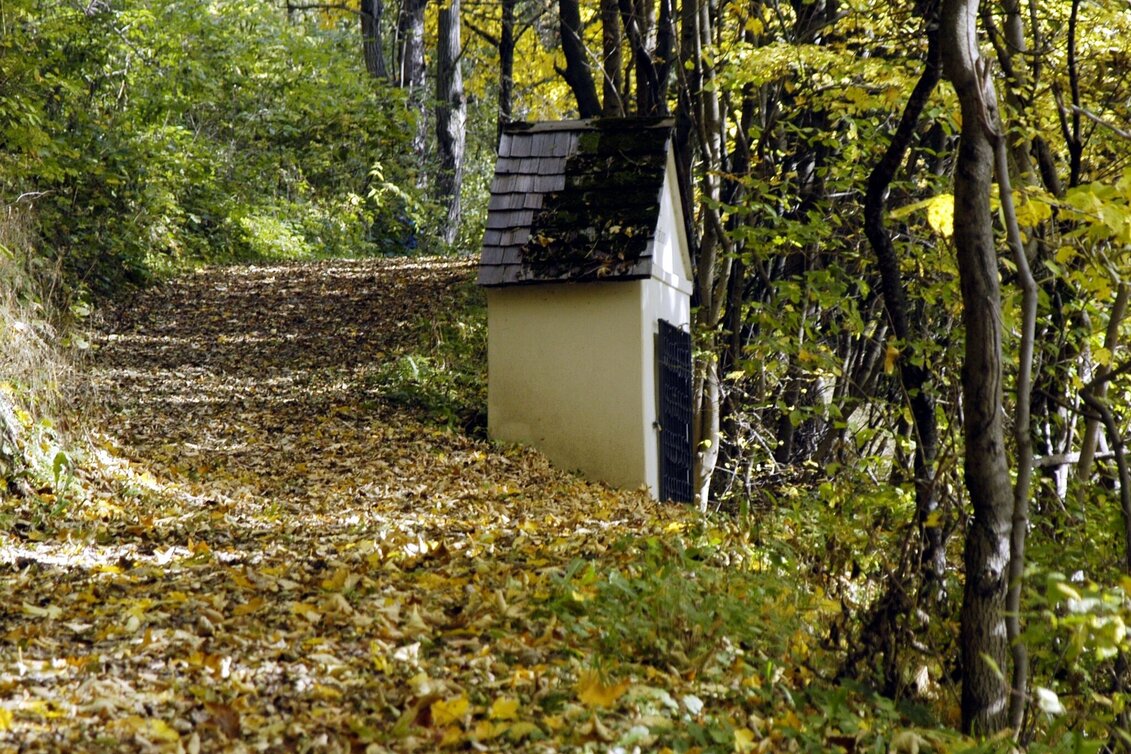 Hiking route Karleitenweg - Touren-Impression #1 | © Erlebnisregion Murtal