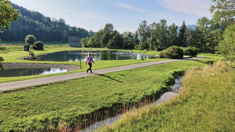 Hiking route Circular hike with Pölstal view from Möderbrugg - Touren-Impression #2.4 | © Weges OG