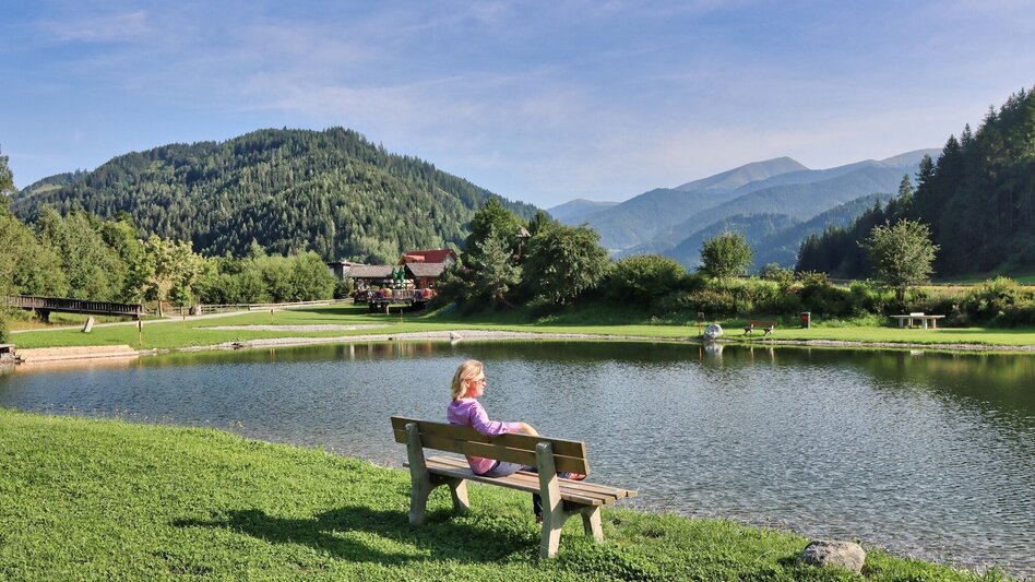 Hiking route Circular hike with Pölstal view from Möderbrugg - Touren-Impression #2.5 | © Weges OG