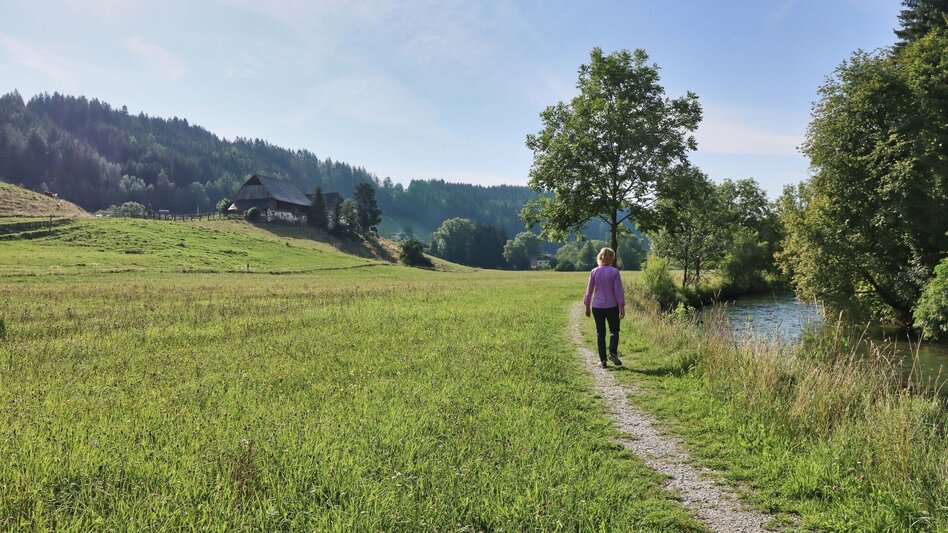 Hiking route Circular hike with Pölstal view from Möderbrugg - Touren-Impression #2.6 | © Weges OG