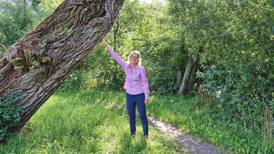 Hiking route Circular hike with Pölstal view from Möderbrugg - Touren-Impression #2.7 | © Weges OG