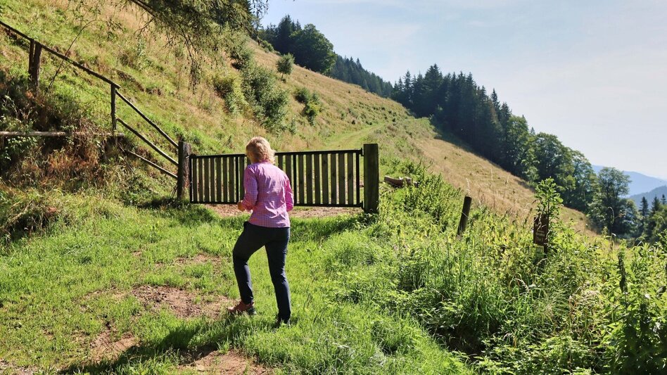 Hiking route Circular hike with Pölstal view from Möderbrugg - Touren-Impression #2.12 | © Weges OG