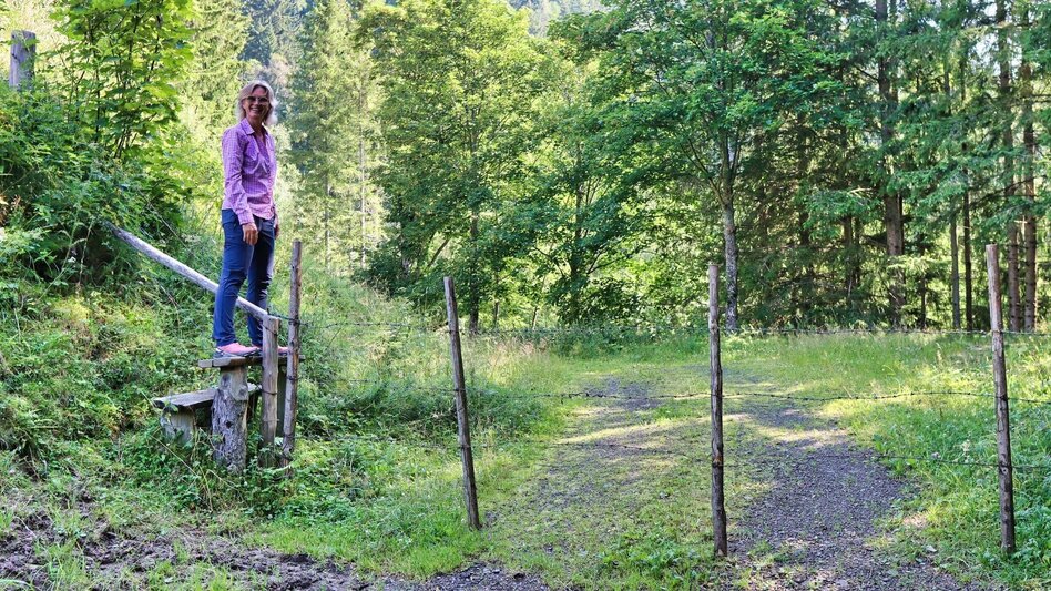 Hiking route Circular hike with Pölstal view from Möderbrugg - Touren-Impression #2.13 | © Weges OG