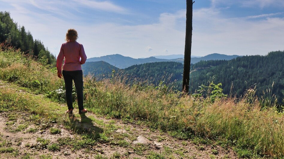 Hiking route Circular hike with Pölstal view from Möderbrugg - Touren-Impression #2.14 | © Weges OG