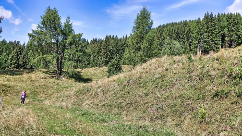 Hiking route Circular hike with Pölstal view from Möderbrugg - Touren-Impression #2.15 | © Erlebnisregion Murtal