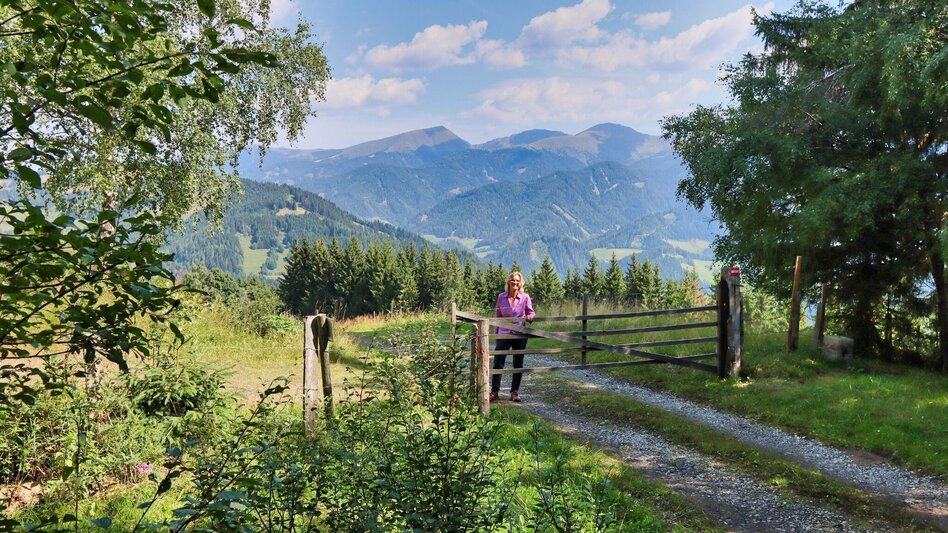 Hiking route Circular hike with Pölstal view from Möderbrugg - Touren-Impression #2.17 | © Weges OG