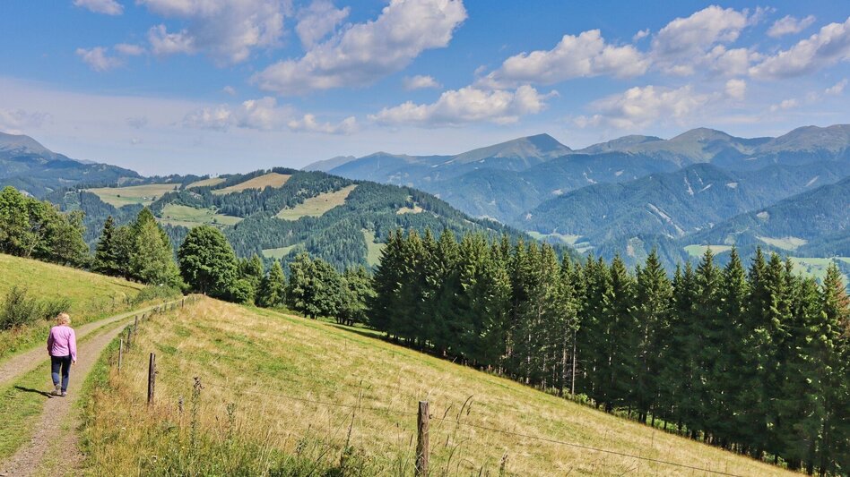 Hiking route Circular hike with Pölstal view from Möderbrugg - Touren-Impression #2.18 | © Weges OG