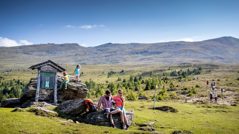 Mountain Hike Tonnerhütte - Fuchskogel -  Wildsee - St. Martiner Hütte - Touren-Impression #2.1 | © Tourismusverband Murau