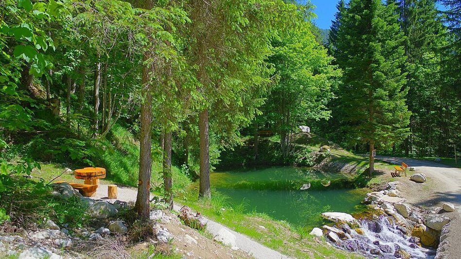 Wanderung Wanderung Tauplitz-Sagtümpel-Schwarzensee in die Gnanitzalm - Touren-Impression #2.3 | © TVB Ausseerland-Salzkammergut_(c) Robert Seebacher