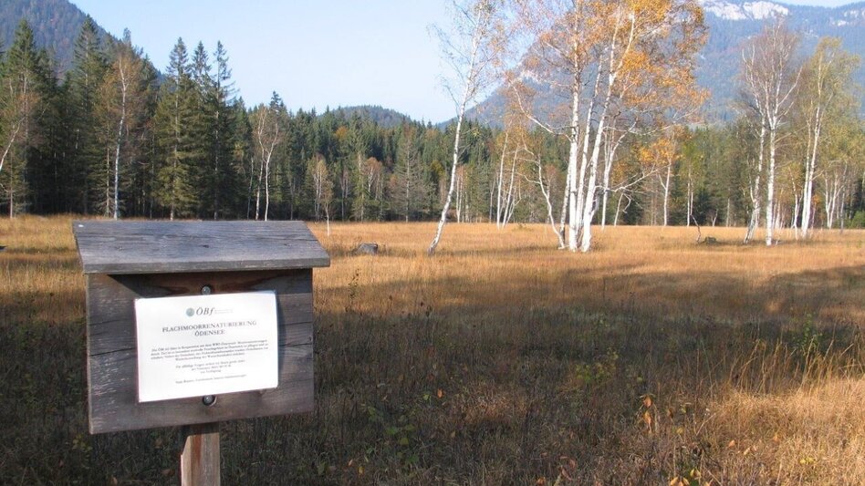 Hiking route nature experience lake Ödensee - Touren-Impression #2.2 | © Ausseerland
