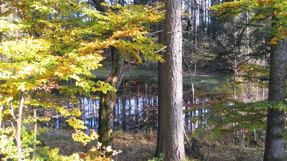 Hiking route nature experience lake Ödensee - Touren-Impression #2.3 | © Ausseerland