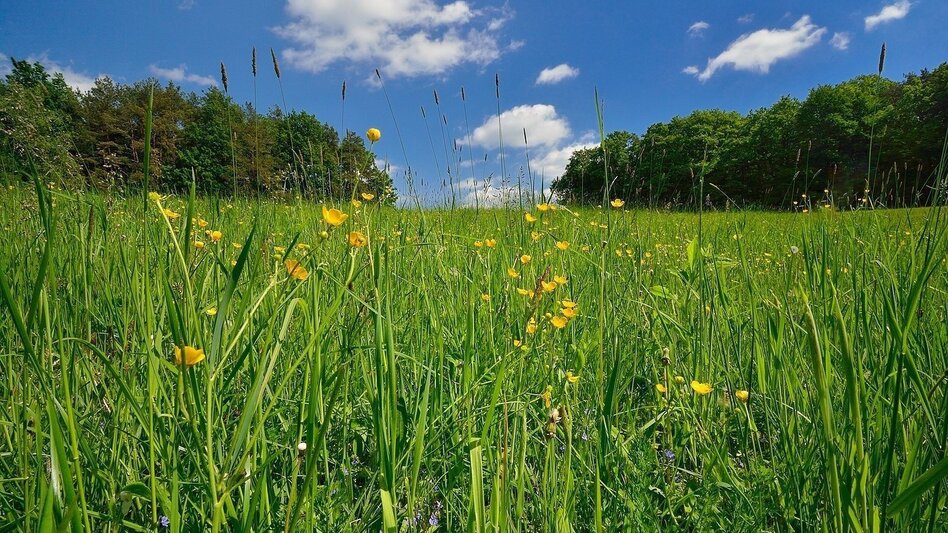 Hiking route Pleasure trail, Anger bei Weiz - Touren-Impression #2.1 | © Oststeiermark Tourismus