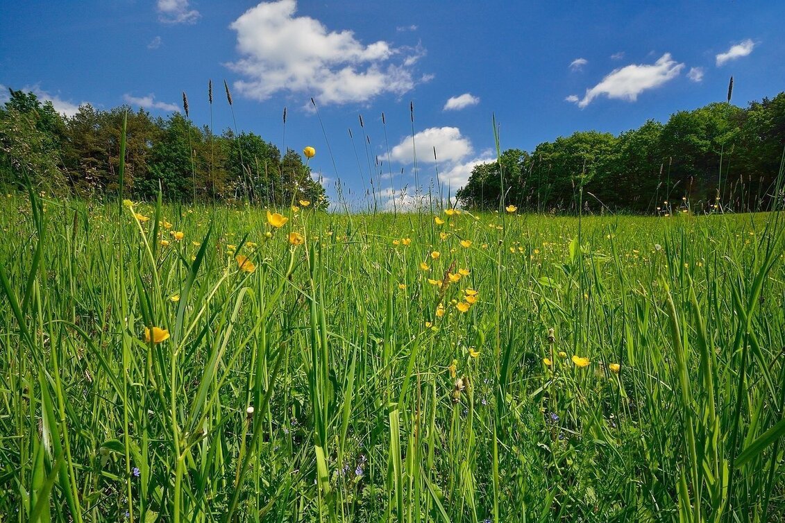 Hiking route Pleasure trail, Anger bei Weiz - Touren-Impression #1 | © Oststeiermark Tourismus