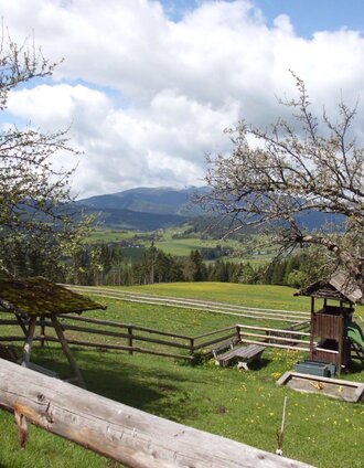 Ausblick Mühlen | Tourismusverband Murau | © Tourismusverband Murau