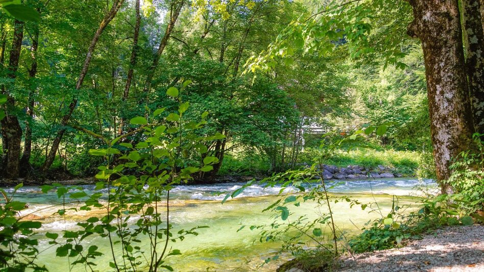 Hiking route Stroller Tour: R. Eybner Promenade to Grundlsee - Touren-Impression #2.2 | © Sandro Kumric