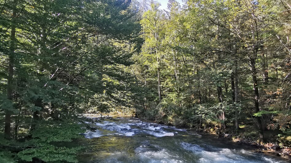 Hiking route Stroller Tour: R. Eybner Promenade to Grundlsee - Touren-Impression #2.11 | © Ausseerland