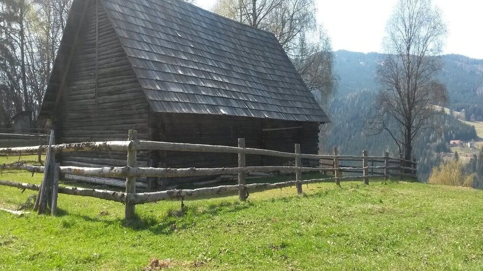 Hiking route Noreia circular hiking trail - Touren-Impression #2.2 | © Tourismusverband Murau