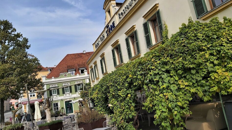 Radfahren Drahteseltour Hartberg - Touren-Impression #2.2 | © Oststeiermark Tourismus