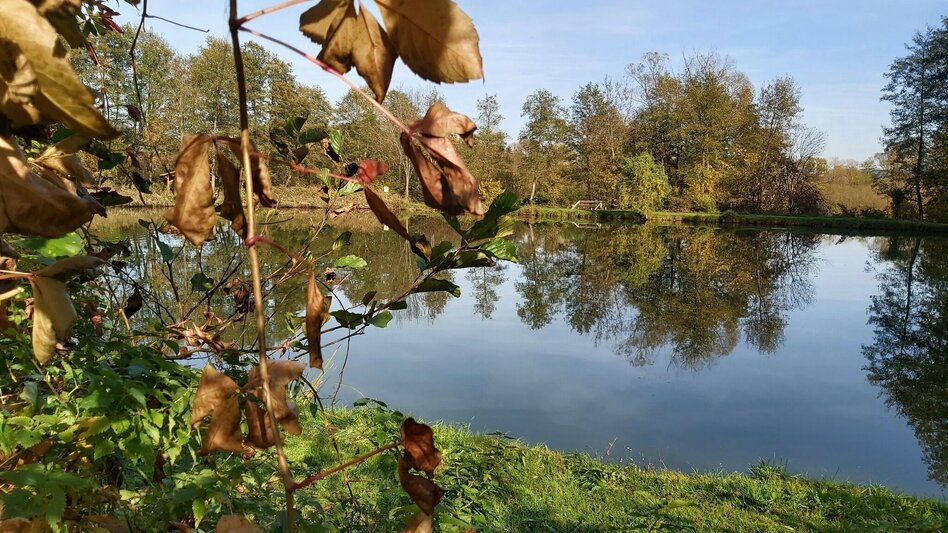 Radfahren Drahteseltour Hartberg - Touren-Impression #2.5 | © Oststeiermark Tourismus