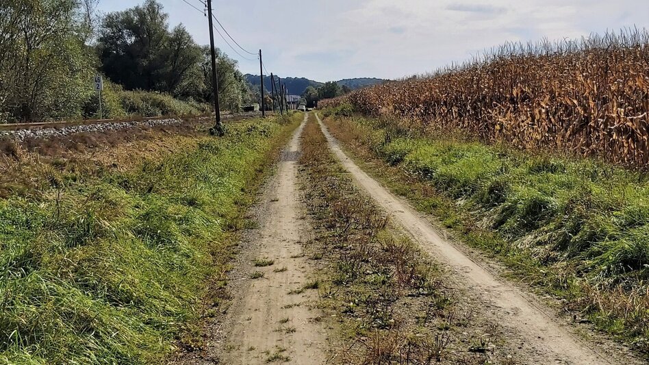 Radfahren Drahteseltour Hartberg - Touren-Impression #2.7 | © Oststeiermark Tourismus