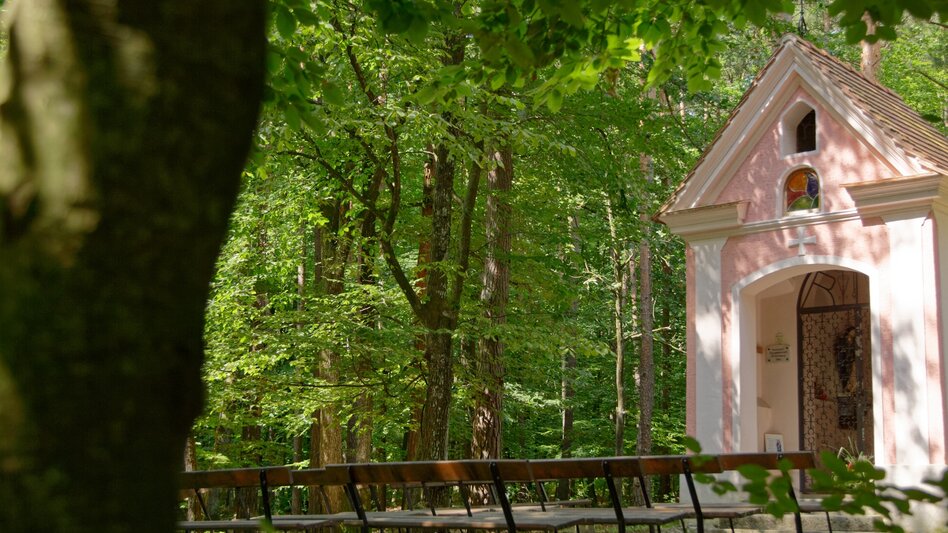 Motor Bike Eastern Styrian Roman Wine Route - Touren-Impression #2.16 | © Oststeiermark Tourismus