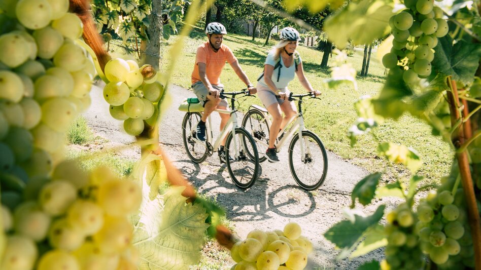 Motor Bike Eastern Styrian Roman Wine Route - Touren-Impression #2.6 | © Oststeiermark Tourismus