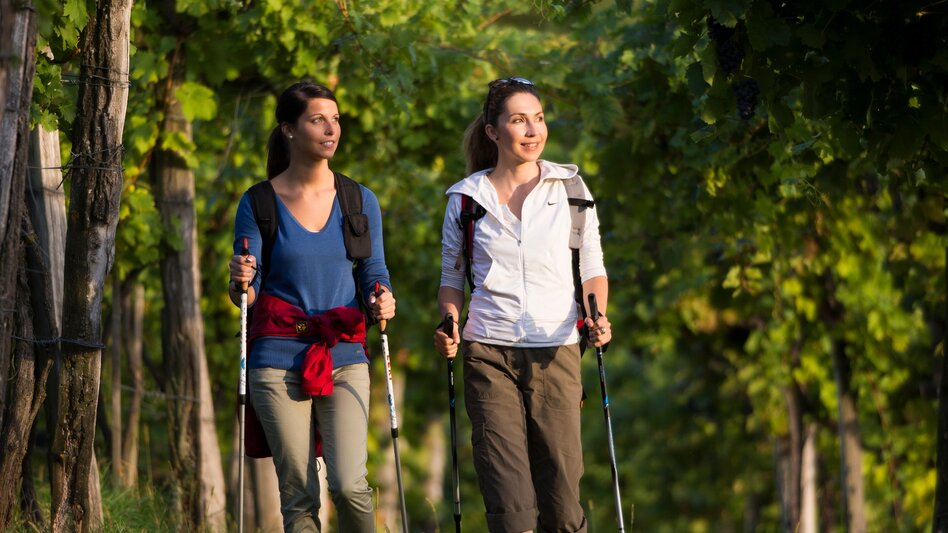 Motor Bike Eastern Styrian Roman Wine Route - Touren-Impression #2.4 | © Oststeiermark Tourismus