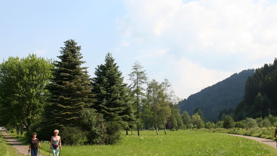 Hiking route Wildbad Einöd circular hike - Touren-Impression #2.1 | © Tourismusverband Murau