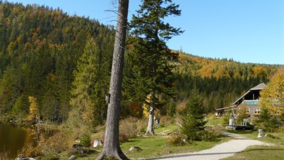 Wanderung Von Bad Aussee zum Ödensee - Touren-Impression #2.2 | © Ausseerland