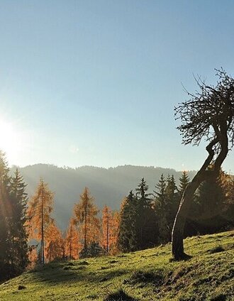 Schlapfkogel | Inge Amtmann | © Erlebnisregion Murtal