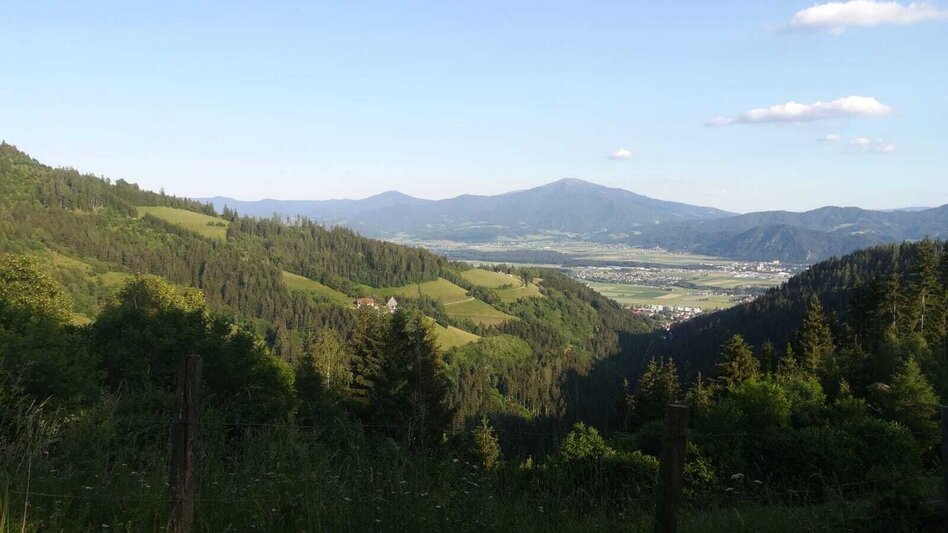 Mountain Biking Tour 13a - MTB - Schlapfkogel via Allerheiligen - Touren-Impression #2.3 | © Erlebnisregion Murtal