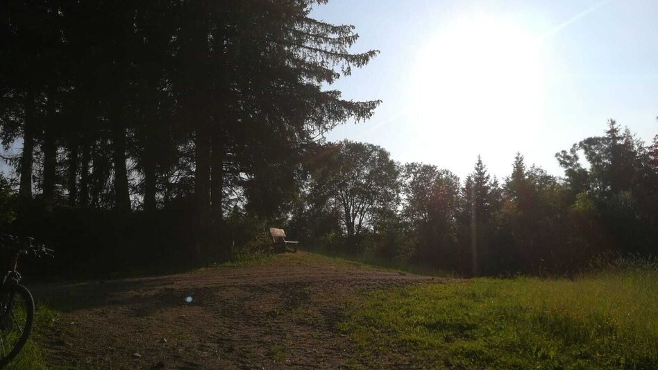 Mountain Biking Tour 13a - MTB - Schlapfkogel via Allerheiligen - Touren-Impression #2.4 | © Erlebnisregion Murtal