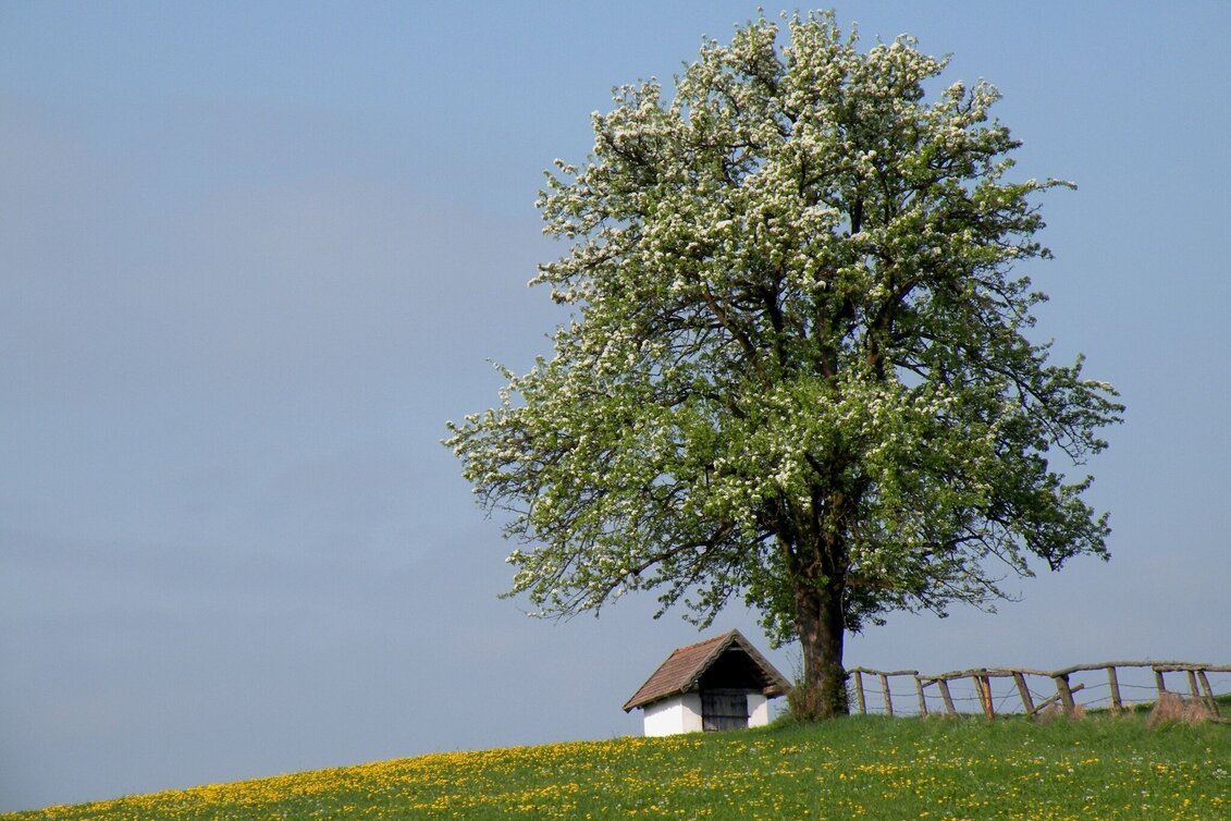 Wanderung Ochsenhimmel-Herzogberg - Touren-Impression #1 | © TV Hochsteiermark