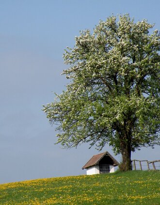 ochsenhimmel-herzogberg_img_23259094 | Nadja Roßpaintner | © TV Hochsteiermark