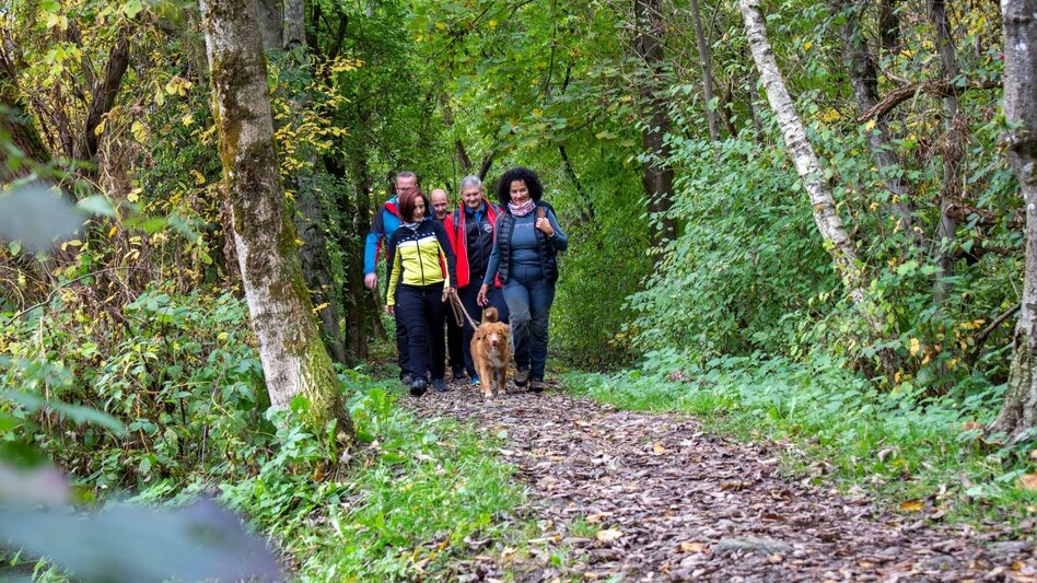 Hiking route Swan path - Touren-Impression #2.2 | © TV Hochsteiermark