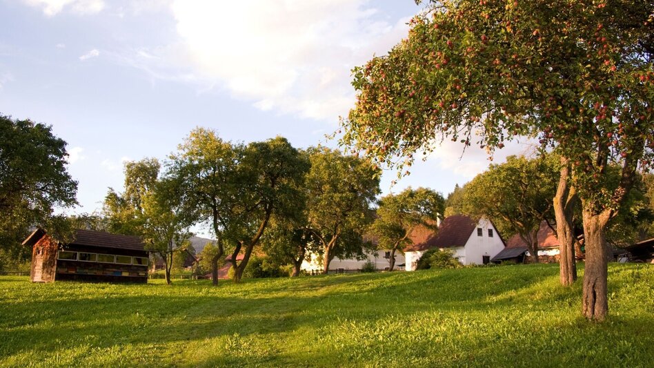 Hiking route Enta da Miaz - Touren-Impression #2.1 | © TV Hochsteiermark
