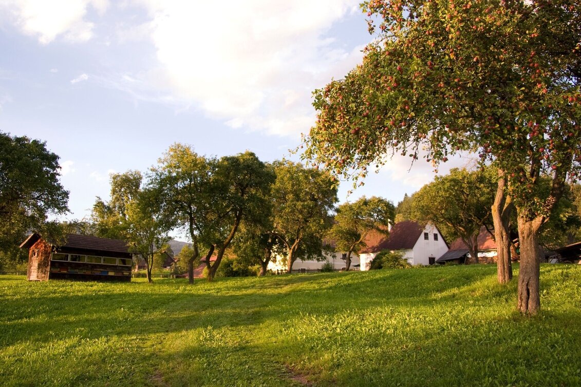 Hiking route Enta da Miaz - Touren-Impression #1 | © TV Hochsteiermark