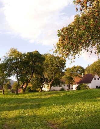 Streuobsthof Weissenbacher | Nadja Roßpaintner | © TV Hochsteiermark
