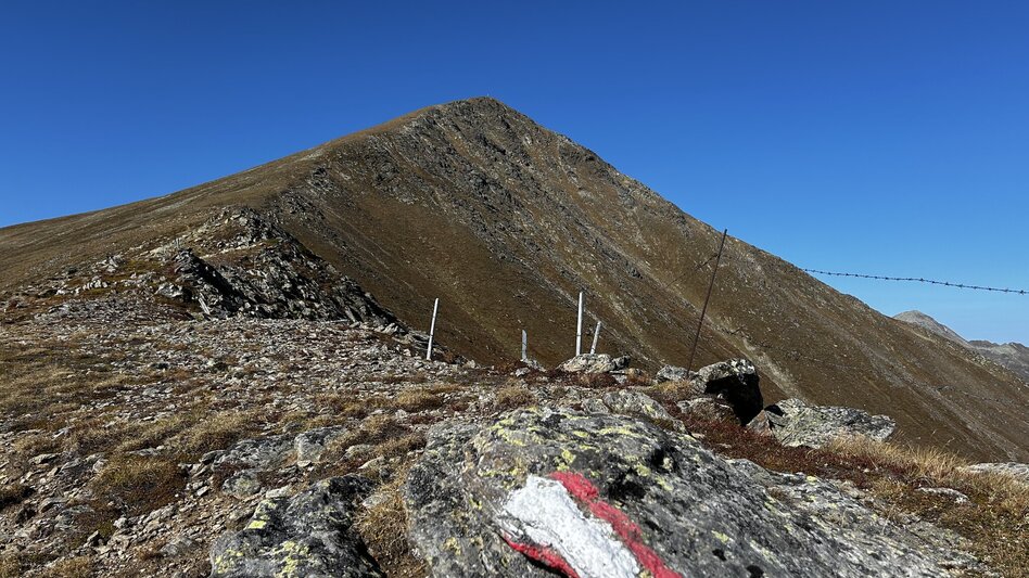 Bergtour Über Schöneben auf den Greim - Touren-Impression #2.4 | © TVB Murau