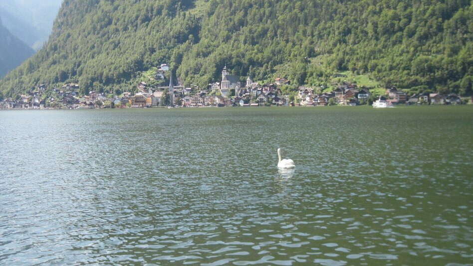 Wanderung BergeSeen Trail 16: Hallstatt - Bad Aussee - Touren-Impression #2.1 | © Salzkammergut - BergeSeen
