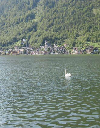 bergeseen trail 16: hallstatt - bad aussee_img_23018887 | Salzkammergut Tourismus | © Salzkammergut - BergeSeen