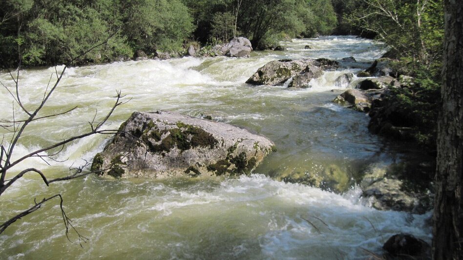 Wanderung BergeSeen Trail 16: Hallstatt - Bad Aussee - Touren-Impression #2.3 | © Salzkammergut - BergeSeen