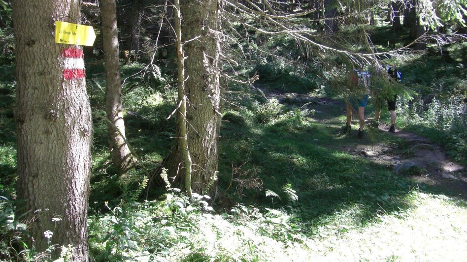 Hiking route BergeSeen Trail 20: Gößl - Appelhaus - Touren-Impression #2.2 | © Salzkammergut - BergeSeen
