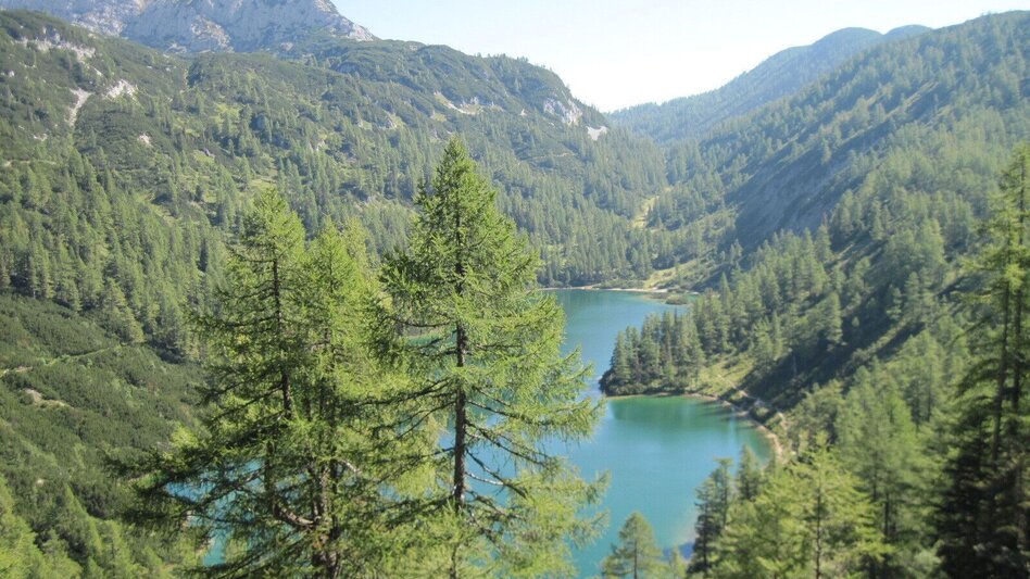 Hiking route BergeSeen Trail 18: Bad Mitterndorf - Tauplitzalm - Touren-Impression #2.3 | © Salzkammergut - BergeSeen