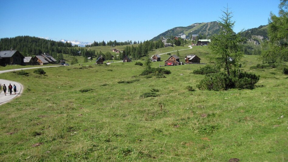 Hiking route BergeSeen Trail 18: Bad Mitterndorf - Tauplitzalm - Touren-Impression #2.4 | © Salzkammergut - BergeSeen
