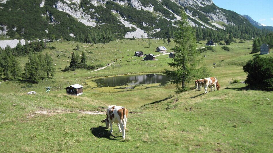 Hiking route BergeSeen Trail 18: Bad Mitterndorf - Tauplitzalm - Touren-Impression #2.5 | © Salzkammergut - BergeSeen