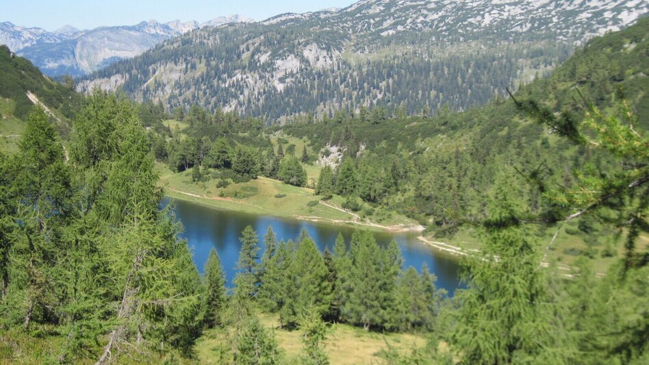 Hiking route BergeSeen Trail 18: Bad Mitterndorf - Tauplitzalm - Touren-Impression #2.6 | © Salzkammergut - BergeSeen