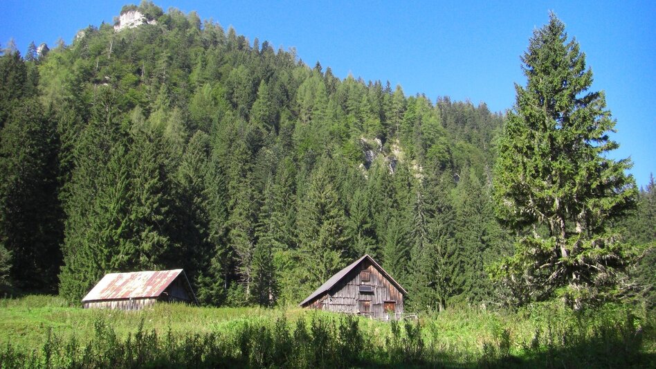 Hiking route BergeSeen Trail 19: Tauplitzalm - Gößl - Touren-Impression #2.2 | © Salzkammergut - BergeSeen